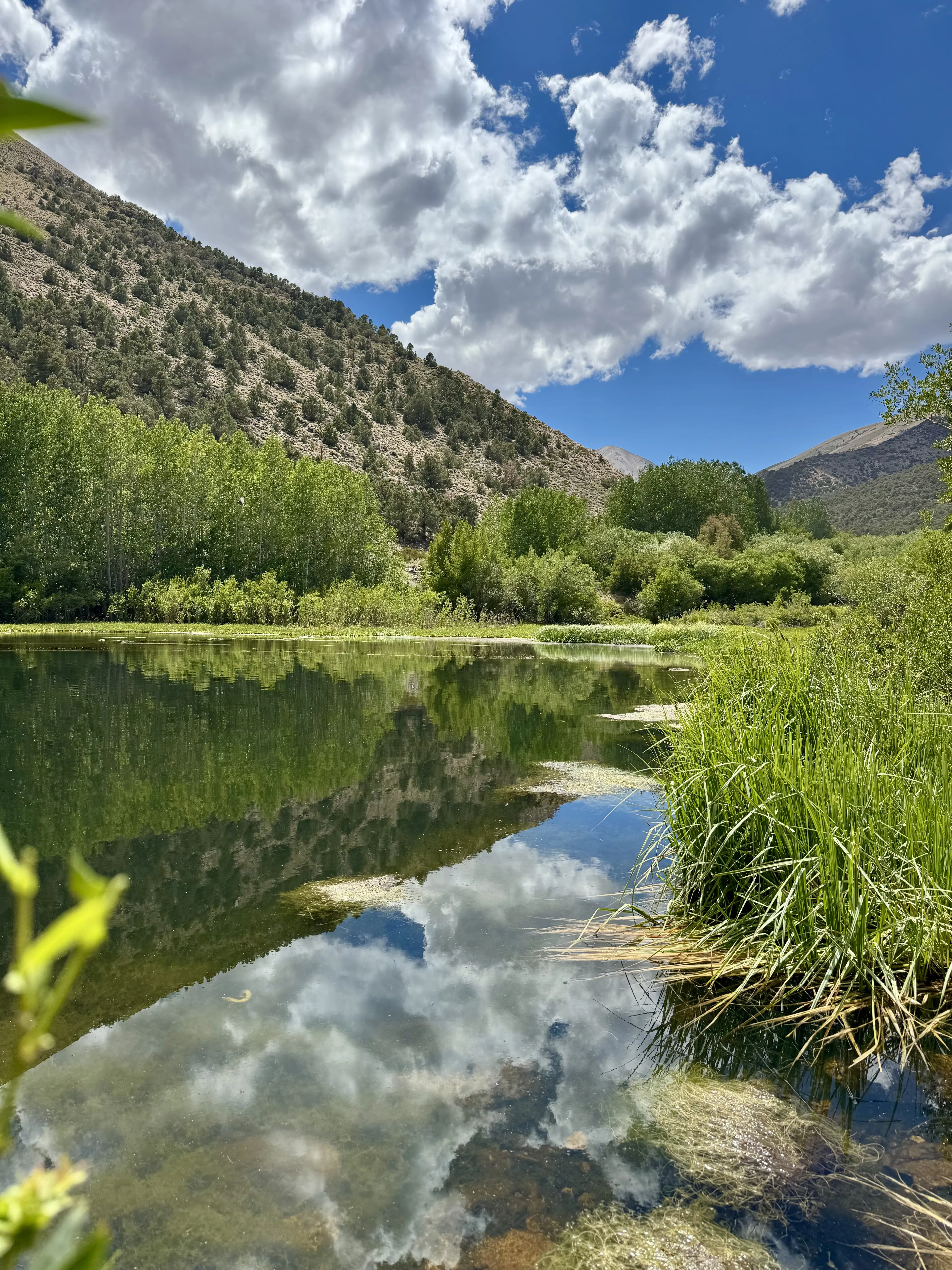 Trail Canyon Reservoir